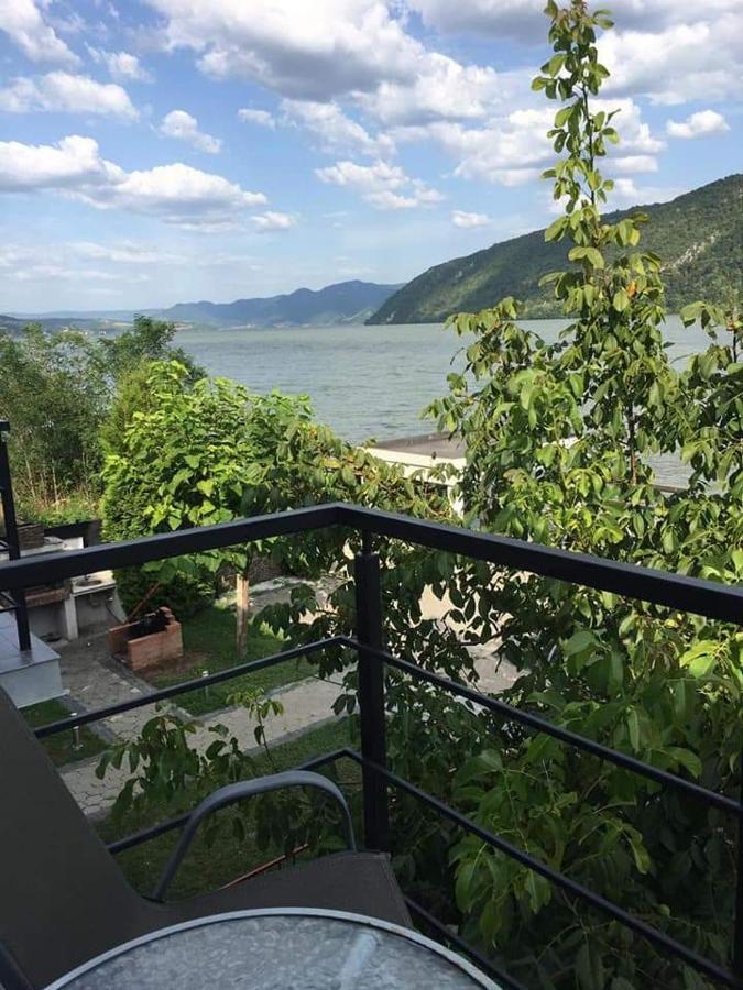 Exclusive Villa Ieşelniţa Bagian luar foto